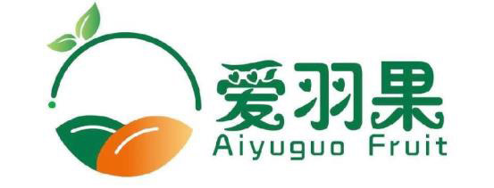 爱羽果贸易ERP实施案例 ——青岛用友软件