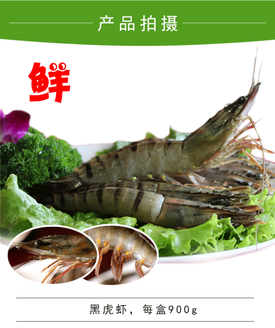 下载 (3).png